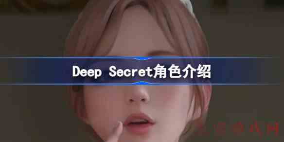 DeepSecret有哪些角色DeepSecret角色介绍